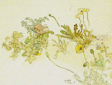 Carl Larsson blommor- nyponros och backsippor